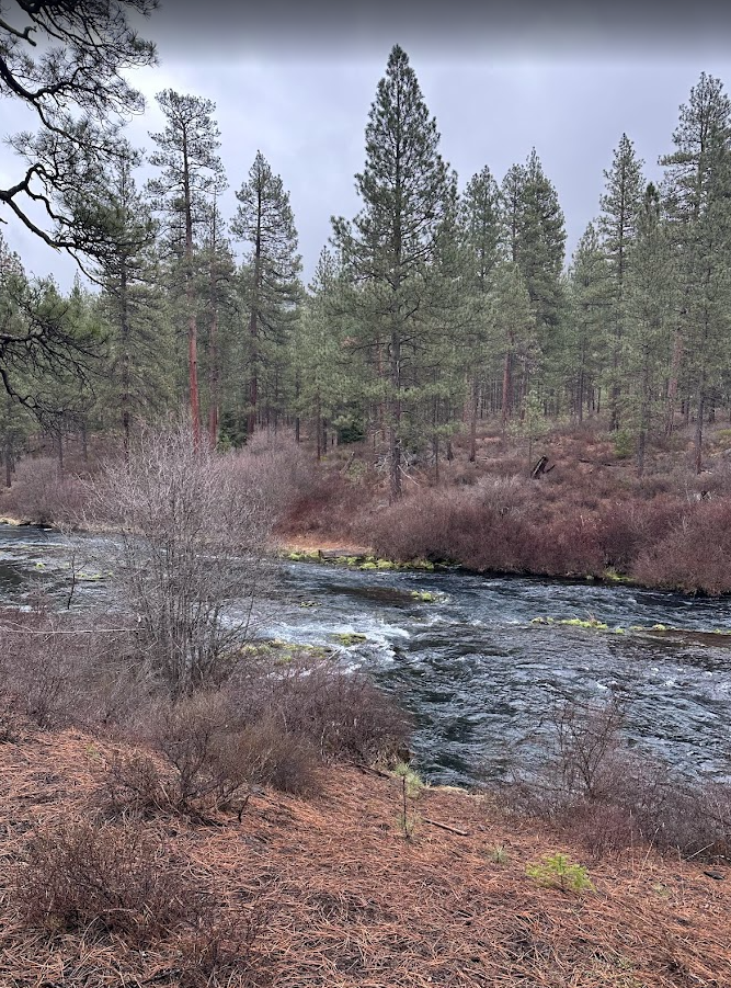 Metolius River in Central Oregon